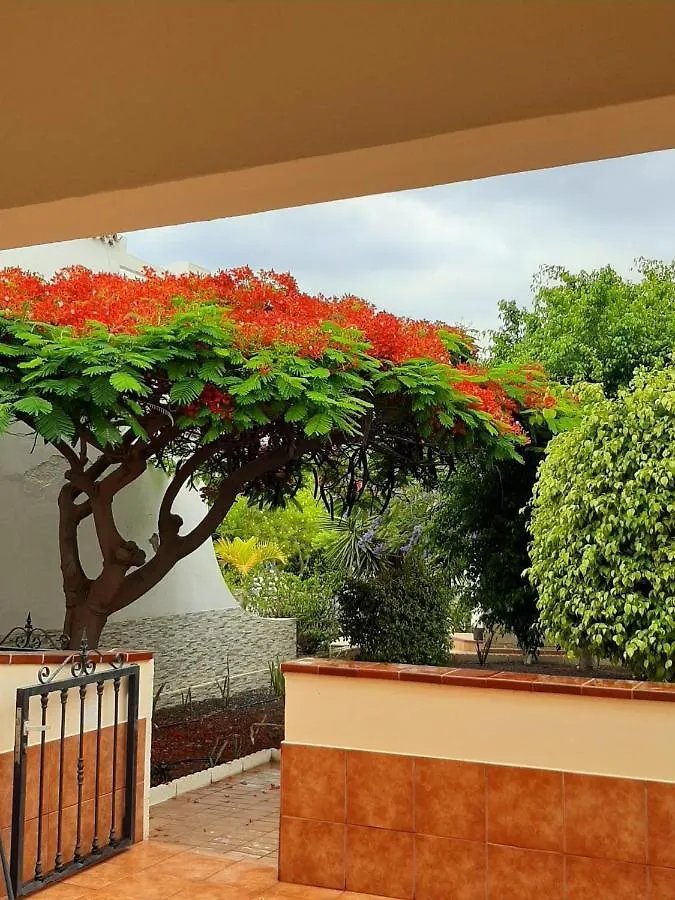 The Palms 2 Bed Duplex With Pool View Apartment San Miguel de Abona Spain